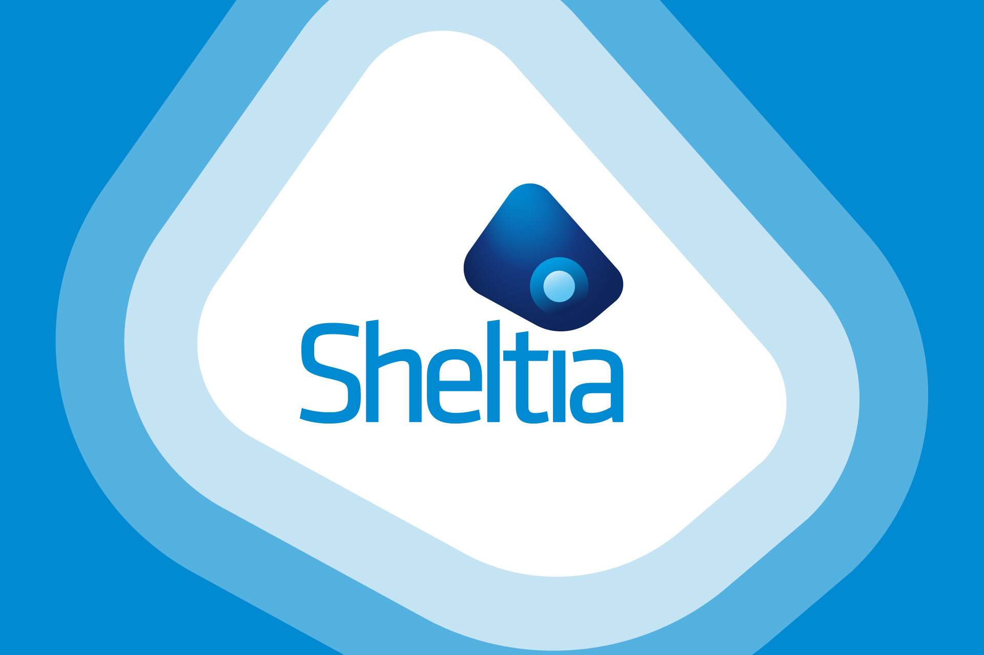 sheltia_news.jpg (2)