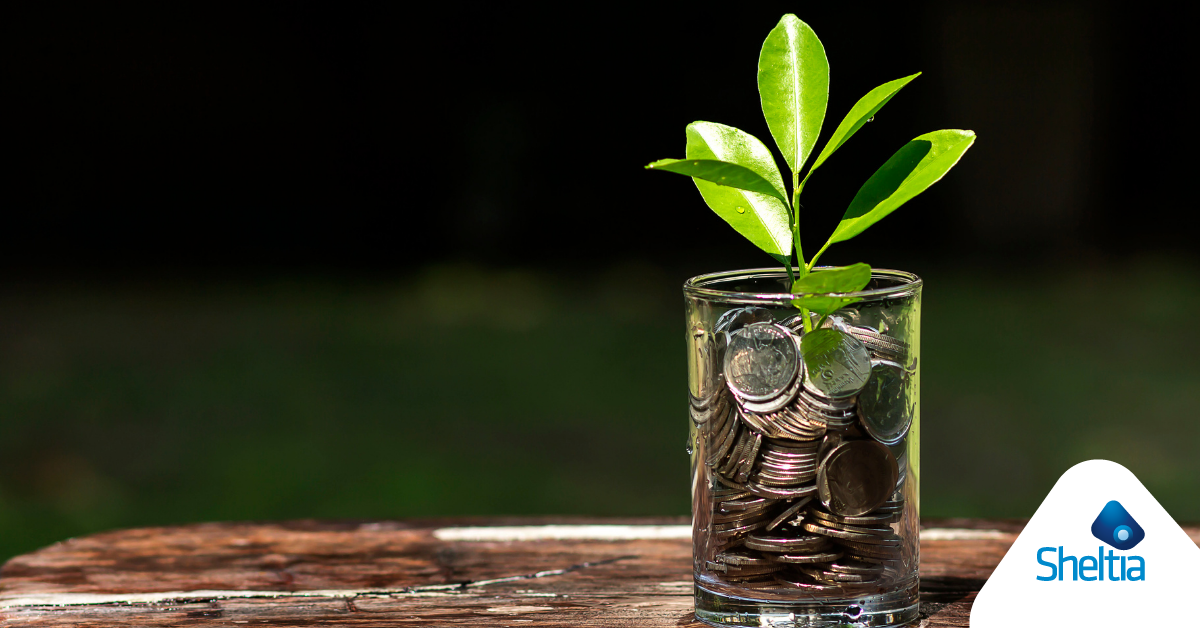 sheltia aprile-5.png