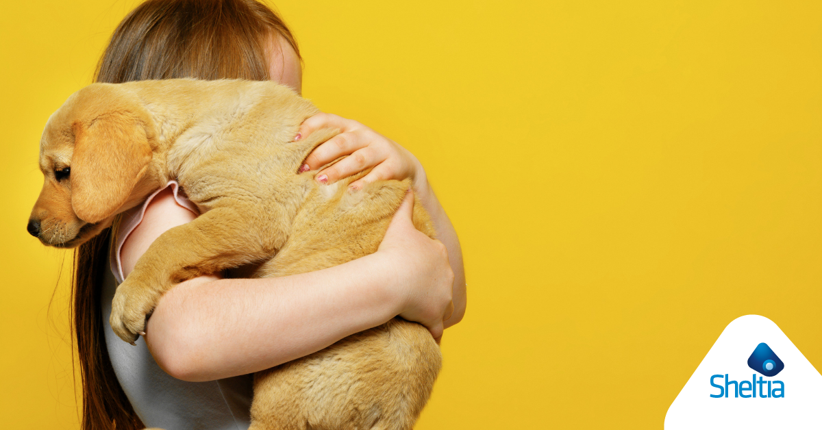 sheltia_assicurazione_cani_gatti.png