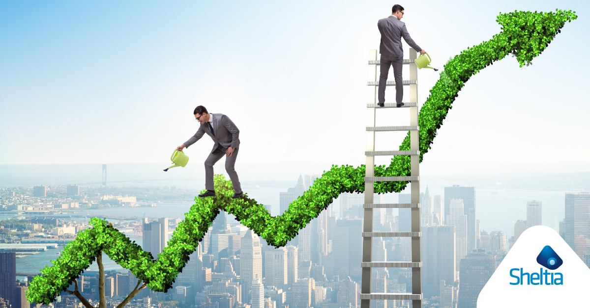 sheltia gen feb-2.png