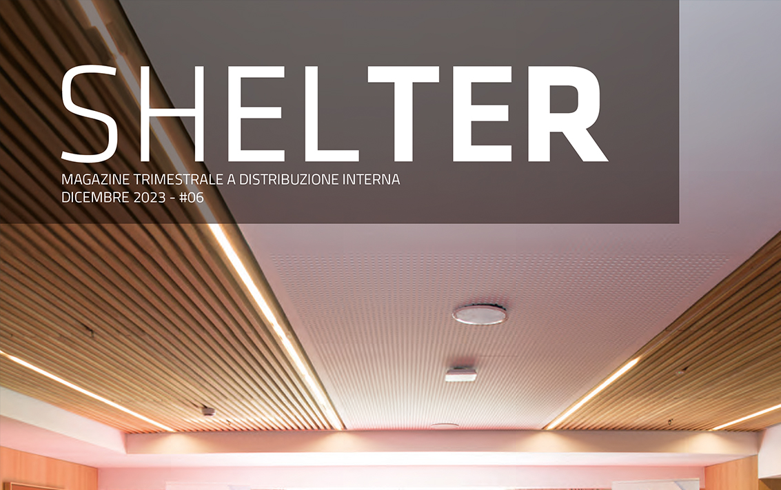shelter_06.jpg